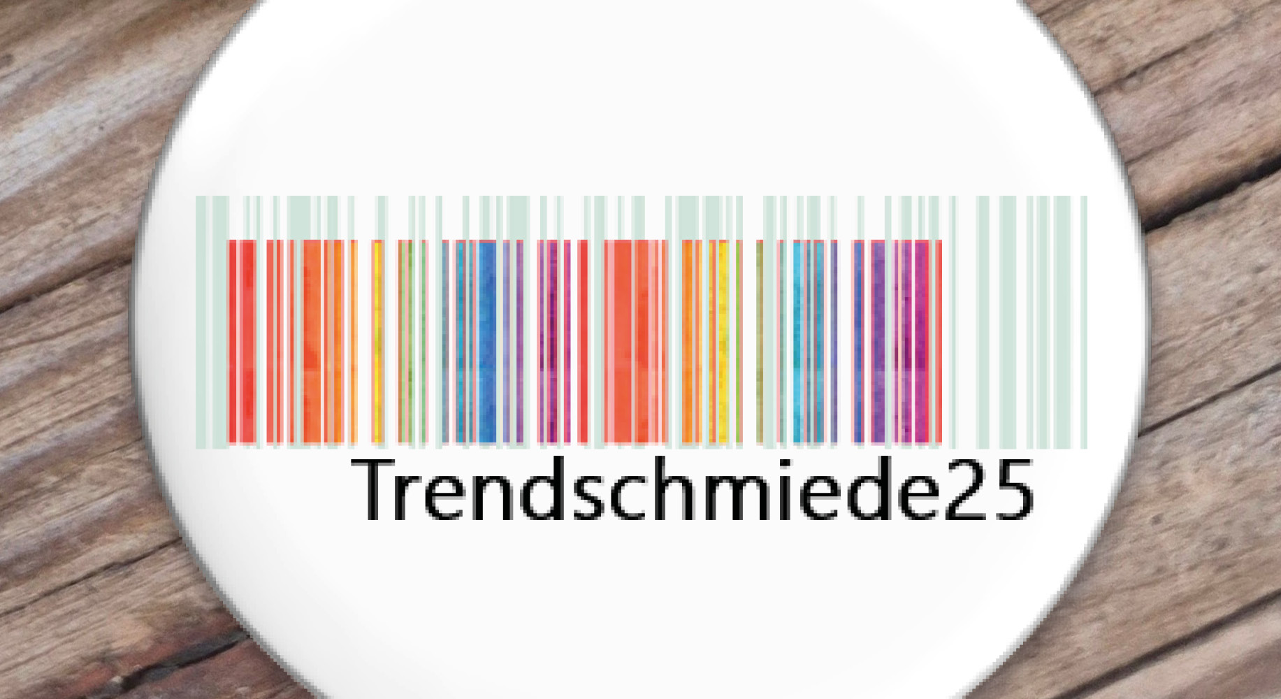 Banner_Internetseite_Trendschmiede